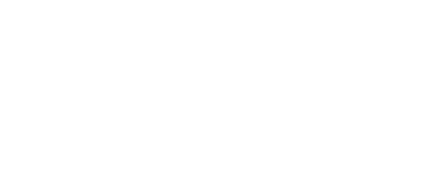NICHIZO TECK SOLUTION